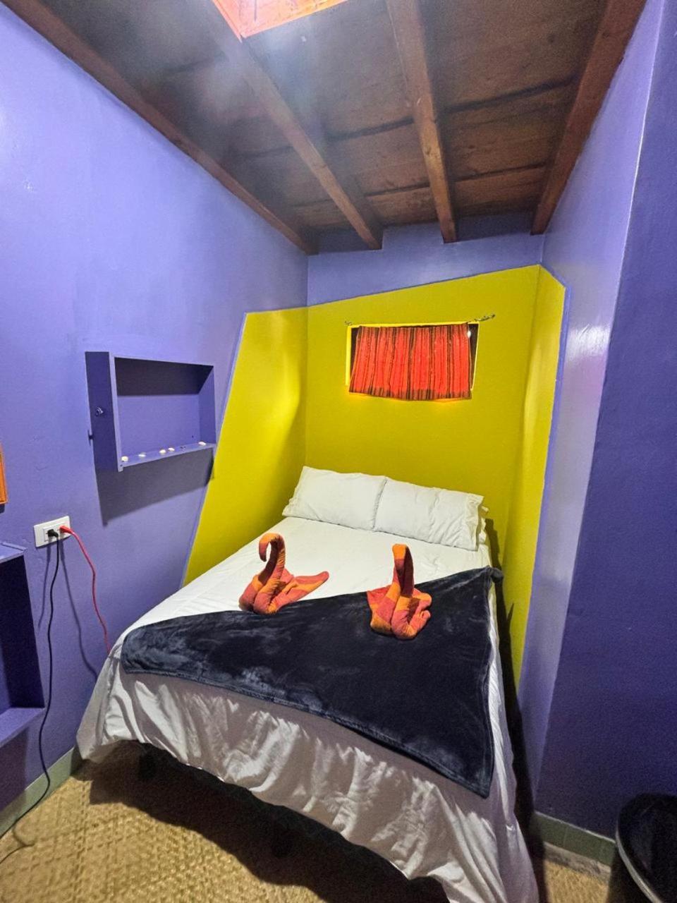 Yes Please! Hostel Antigua Номер фото